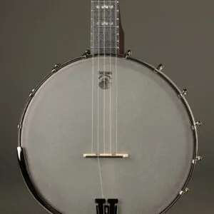 Deering Artisan Goodtime Americana 5-String Openback Banjo – New