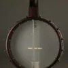 Deering Artisan Goodtime Americana 5-String Openback Banjo – New