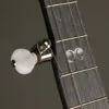 Deering Artisan Goodtime Americana 5-String Openback Banjo – New