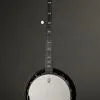 Deering Artisan Goodtime Special Banjo 5-String with Resonator New