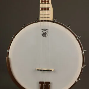 Deering Goodtime 19-Fret Tenor Banjo – New
