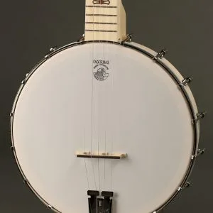 Deering Goodtime 5-String Openback Banjo New