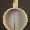 Deering Goodtime 5-String Openback Banjo – New