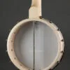 Deering Goodtime 5-String Openback Banjo – New