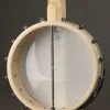 Deering Goodtime 6 Guitar Banjo New