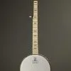 Deering Goodtime Acoustic/Electric 5-String Open Back Banjo – New