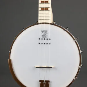 Deering Goodtime Acoustic/Electric 5-String Openback Banjo – New