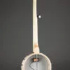 Deering Goodtime Acoustic/Electric 5-String Openback Banjo – New