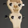 Deering Goodtime Acoustic/Electric 5-String Openback Banjo – New