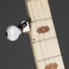 Deering Goodtime Acoustic/Electric 5-String Openback Banjo – New
