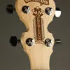 Deering Goodtime Americana 5-String Openback Banjo – New