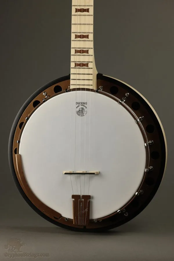 Deering Goodtime Special 5-String Resonator Banjo – New