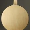 Deering Goodtime Special 5-String Resonator Banjo – New