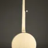 Deering Goodtime Two 5-String Resonator Banjo – New
