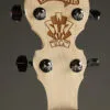 Deering Goodtime Two 5-String Resonator Banjo – New