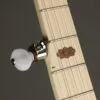 Deering Goodtime Two 5-String Resonator Banjo – New