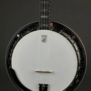 Deering Sierra Maple 5-String Banjo – New