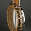 Deering White Lotus 5-String Resonator Banjo – New