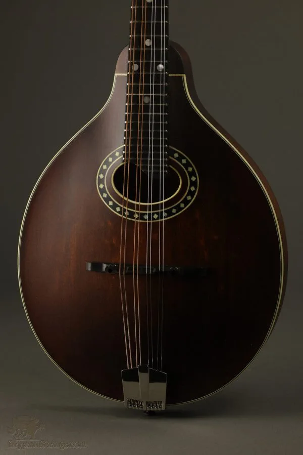 Eastman MD304 Mandolin – New