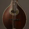 Eastman MD304 Mandolin – New