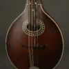 Eastman MD304 Mandolin – New