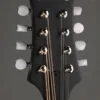 Eastman MD304 Mandolin – New