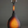 Eastman MD304E-SB Acoustic Electric Mandolin – New