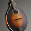 Eastman MD304E-SB Acoustic Electric Mandolin – New