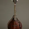 Eastman MD305 Mandolin – New