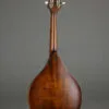 Eastman MD305 Mandolin – New