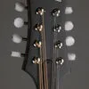 Eastman MD305 Mandolin – New