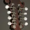 Eastman MD315 Mandolin – New