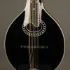 Eastman MD404-BK Mandolin – New