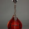 Eastman MD505CC/TV Mandolin – New