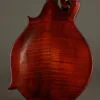 Eastman MD515CC/TV Mandolin in Classic Varnish Finish – New