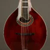 Eastman MD604 Acoustic Electric Mandolin – New