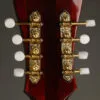 Eastman MDC804 Oval Hole Mandocello – New