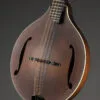 Eastman MDO305 Octave Mandolin – New