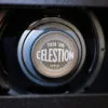 Fender ’68 Custom Princeton® Reverb, 120V – New
