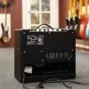 Fender Blues Junior™ IV, Black, 120V New