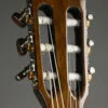 Fender CN-60S Nylon, Walnut Fingerboard, Natural – New