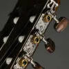 Fender CN-60S Nylon, Walnut Fingerboard, Natural – New