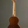 Fender Dhani Harrison Uke, Walnut Fingerboard, Sapphire Blue – New