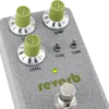 Fender Hammertone® Reverb