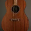 Fender Monterey Standard, Walnut Fingerboard, Natural – New
