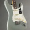 Fender Player II Stratocaster®, Rosewood Fingerboard, Cactus Gray – New