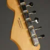 Fender Player II Stratocaster®, Rosewood Fingerboard, Cactus Gray – New