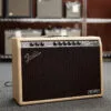 Fender Tone Master® Deluxe Reverb® Blonde, 120V – New