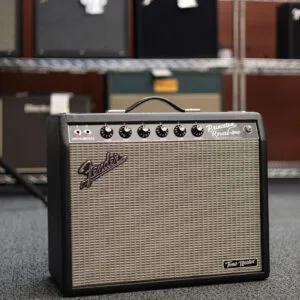 Fender Tone Master® Princeton® Reverb, 120V – New