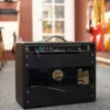 Fender Tone Master® Princeton® Reverb, 120V – New